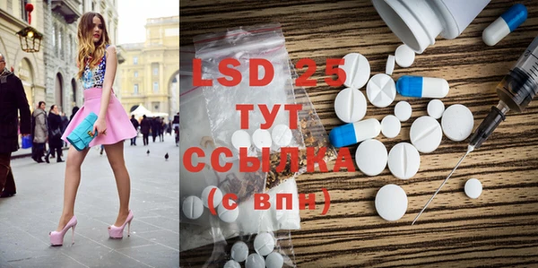 mix Инта