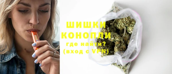mix Инта