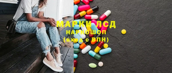 mix Инта