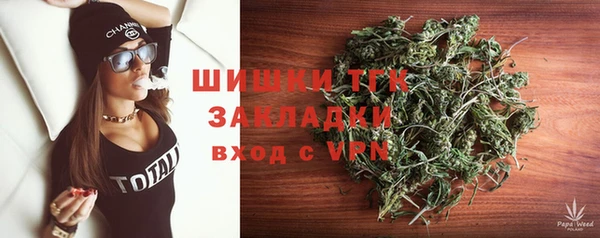 mix Инта