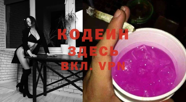 mix Инта