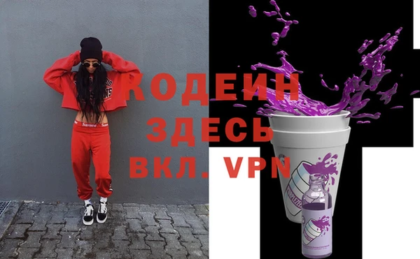 mix Инта