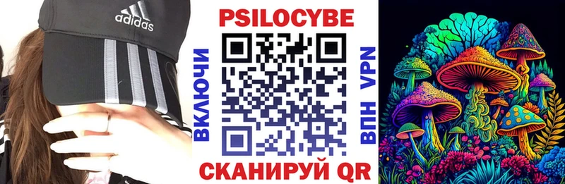 Псилоцибиновые грибы мухоморы  Купить закладки  Мглин 